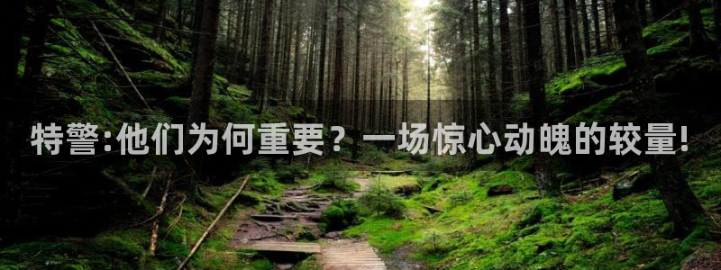 久久视频只有这精品