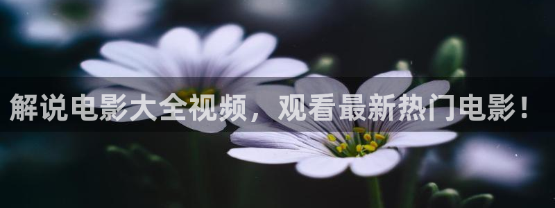 免费视频久久视频
