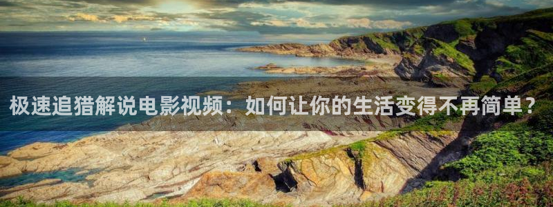 久久视频精品2