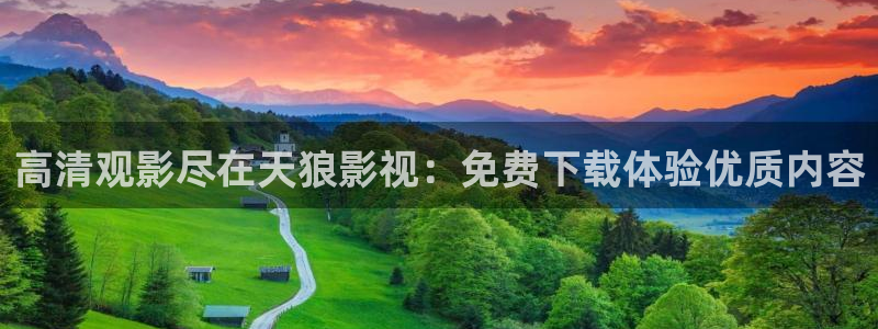 99国产精品久久久久影院
