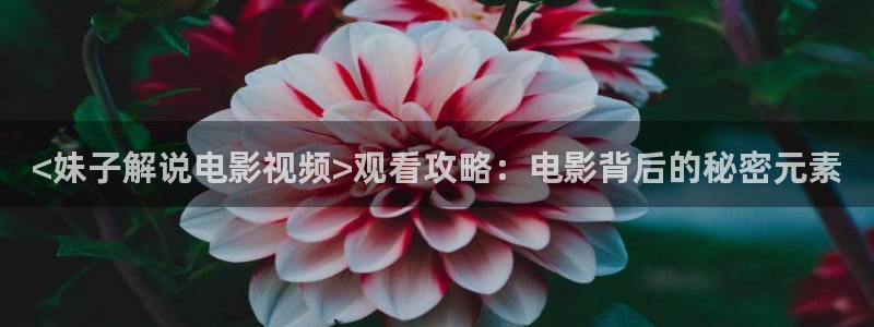 新闻图片
