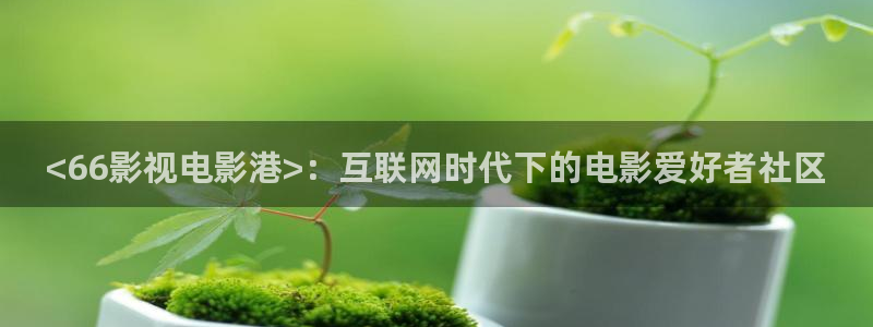 97久久视频观看