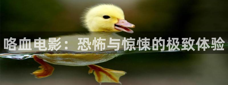 新久久视频