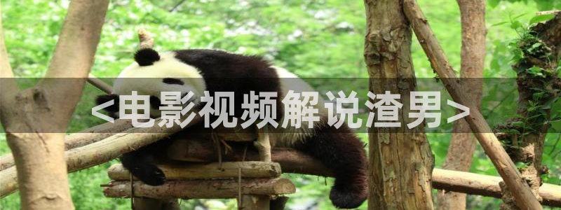 久久视频国内精品
