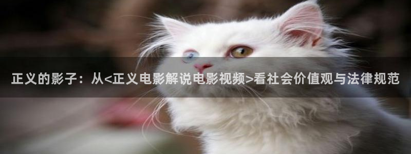 久久久电影网站