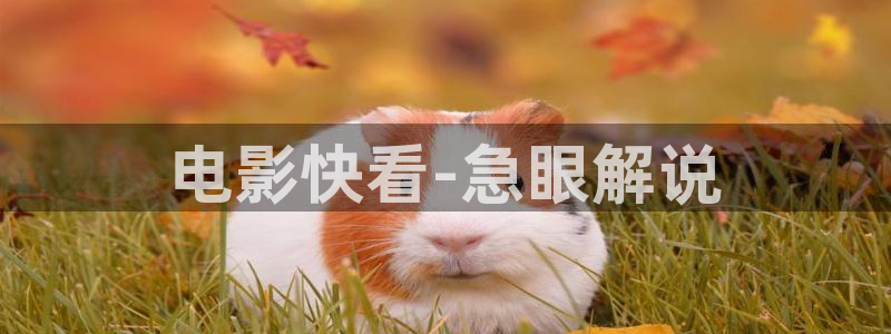 久久久影院av