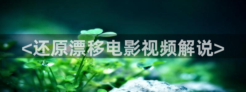 久久视频网址