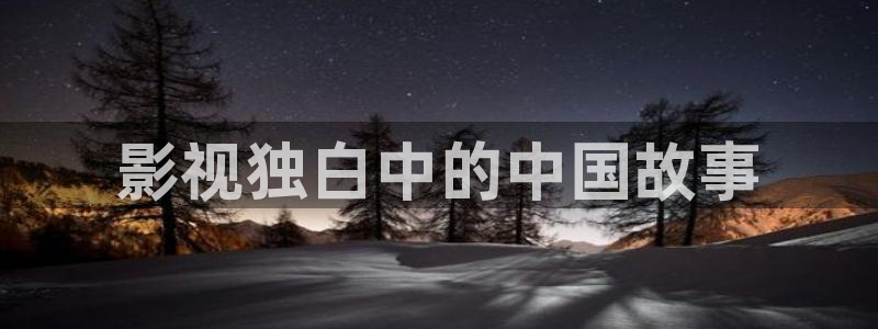 精品视频久久久久久久