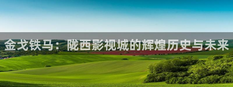 久久久久久久久99精品视频
