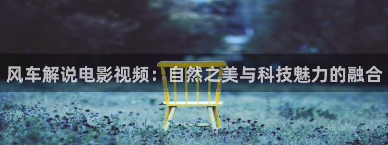 久久视频精品国产